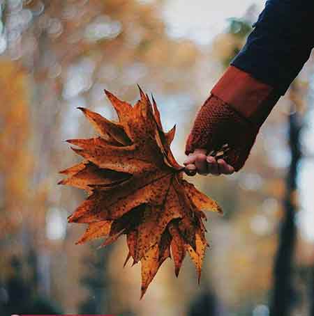 آهنگ مصیبت انفرادی