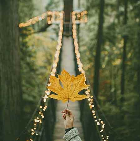 دانلود آهنگ جدید حمید امیری و علی نجفی به نام عطر رفتن