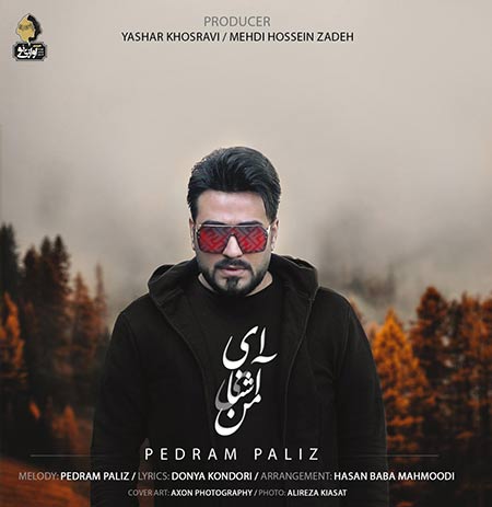 دانلود آهنگ جدید پدرام پالیز به نام ای آشنای من