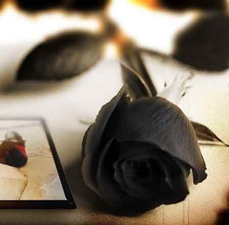 آهنگ امو بند تو شدی