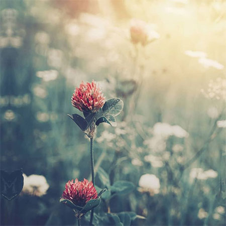آهنگ علی صدیقی آشوب