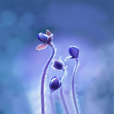 آهنگ ارشاد دووم نمیارم