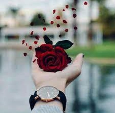 آهنگ حمید صالحی رفتی