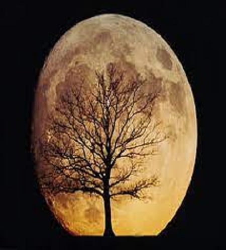 آهنگ مهدی حسین زاده ایوار بویه