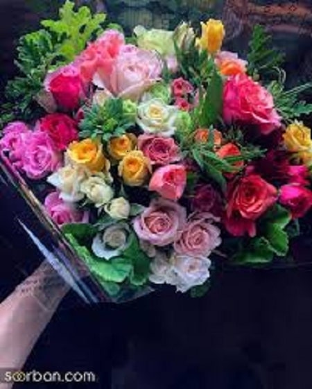 آهنگ ولی براتی ساقی