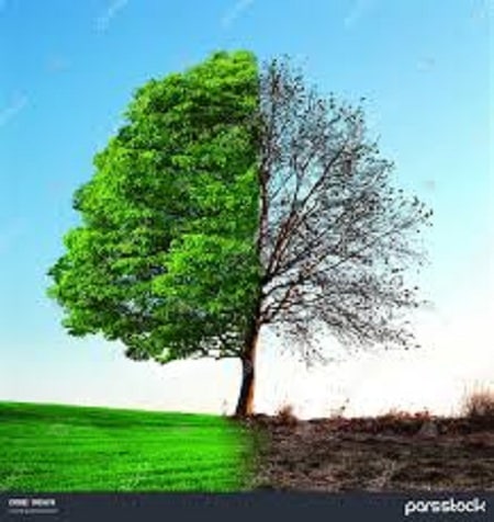 آهنگ علی خسروجردی قدیما یادش بخیر