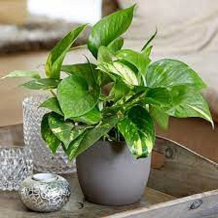 آهنگ مرتضی جوان بابا