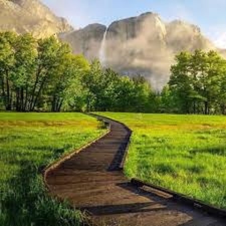 آهنگ ایمان طهماسبی دل هوای تو کرد