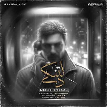 آهنگ متروک و امیر دلتنگی